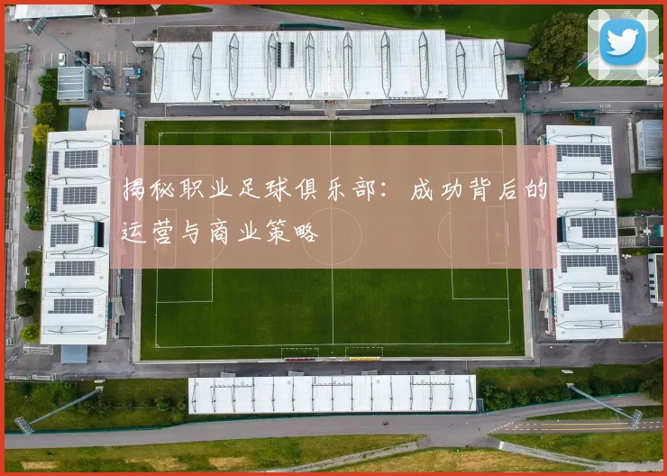 揭秘职业足球俱乐部：成功背后的运营与商业策略